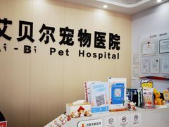 -艾贝尔宠物医院·宠保定点·超声绝育·免疫点(樱花路店)