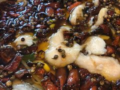 -眉州东坡(团结湖店)