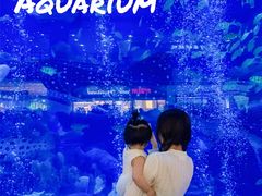 -成都浩海立方海洋公园