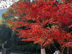 -杭州城北体育公园