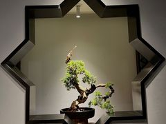 -四季民福烤鸭店(故宫店)