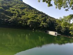-龙道沟景区
