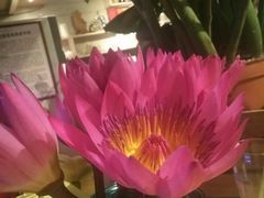 -春暖花开(西溪店)