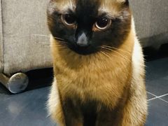 -吱咖啡西式简餐