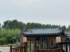 -池杉湖湿地公园