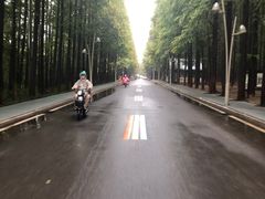 -日照海滨国家森林公园