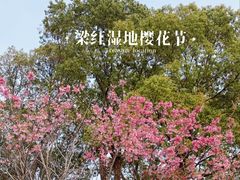 -梁鸿国家湿地公园