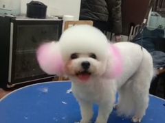 -沐沐家宠物(成寿寺店)