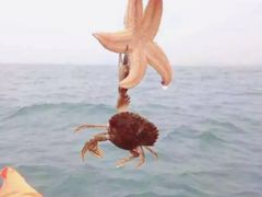 -东戴河风景区-止锚湾