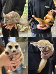-Zoolung Zoolung动物主题公园(海信广场店)