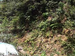 -韶山毛泽东同志故居