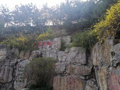 -西安曲江寒窑遗址公园