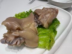 -丁老爷子苏香圆