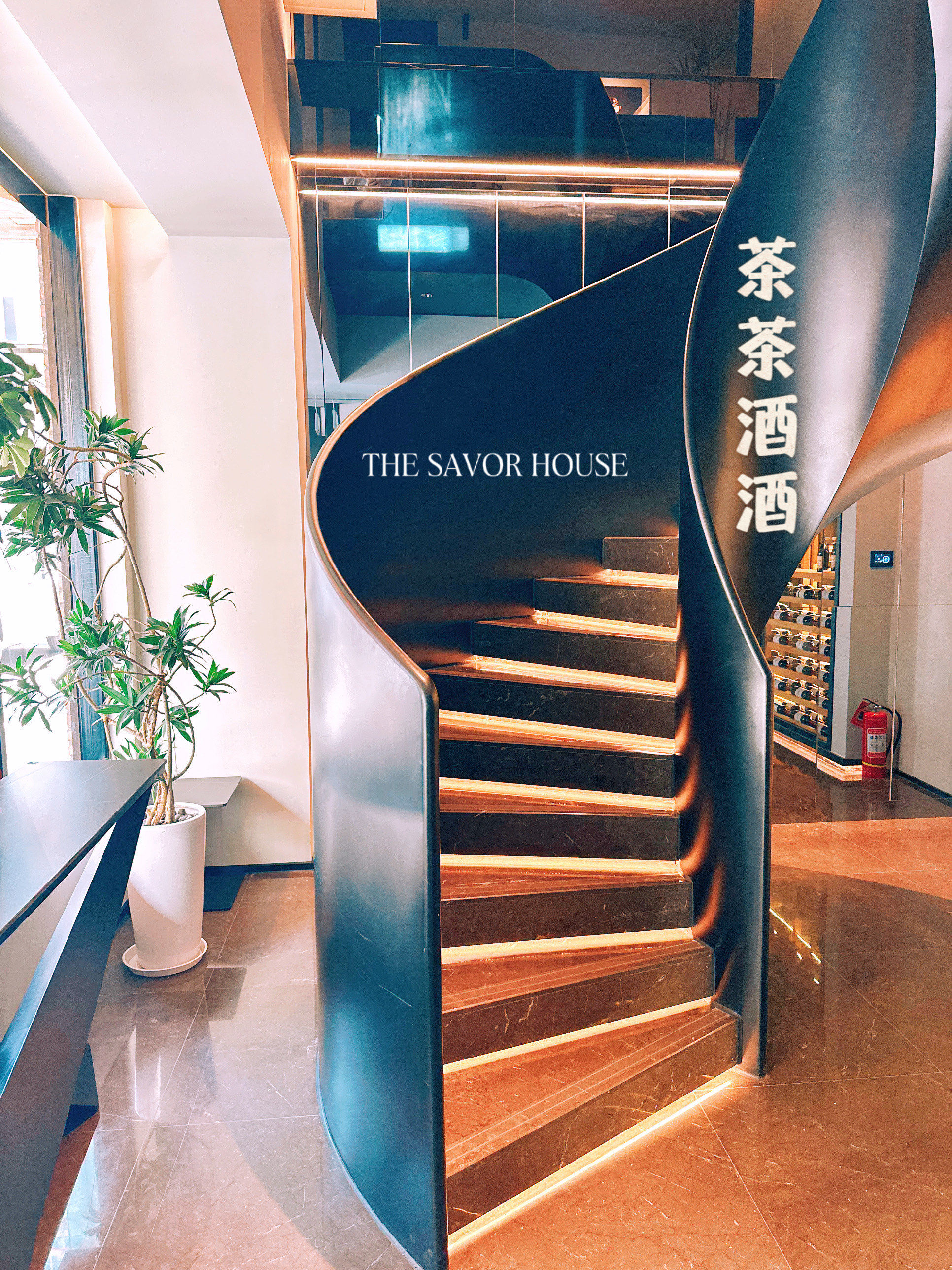 73大望路新店测评|本地人吃了也会夸9215潮汕美食99茶茶酒酒