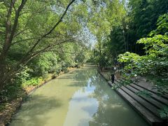 -同里国家湿地公园