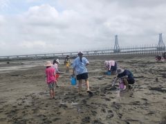 -北海金海湾红树林生态旅游区