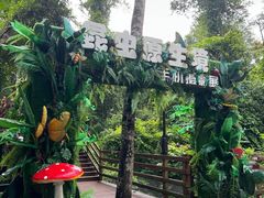 -野象谷景区