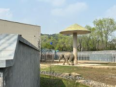 -苏州上方山国家森林公园