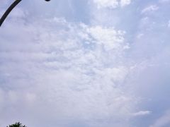 -武汉五月花大酒店(武昌火车站中南路地铁站店)