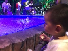 -华夏文旅海洋公园