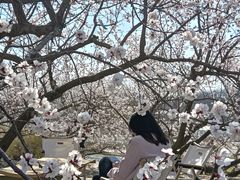 -北马山庄植趣咖啡