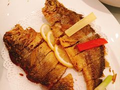 -骏莱海鲜鱼港(五角场店)