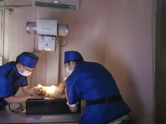 -严国平动物医院(德政总院)