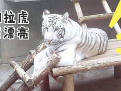 -西安秦岭野生动物园