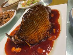 罾蹦鲤鱼-陈傻子餐厅(世纪都会店)