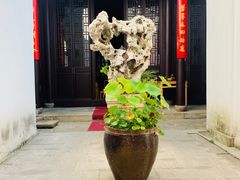 -潘玉麟糖粥