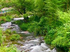 -夏霖九天银瀑风景区