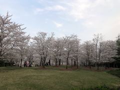 -自然谷恐龙园