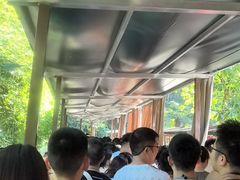 -崇州九龙峡漂流