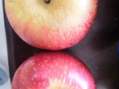 -百果园(芳华路店)