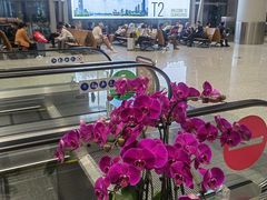 -广州白云国际机场-T2航站楼