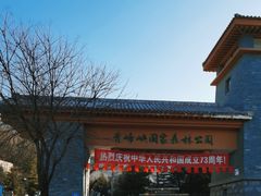 -青峰峡国家森林公园