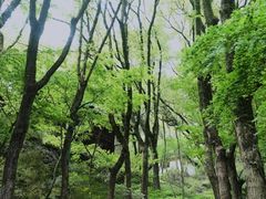 -宁波市保国寺古建筑博物馆