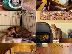 -H立方实景剧情密室(天河旗舰店)