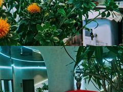 大堂-鑫悦诚府·新鲁菜·餐厅(趵突泉店)