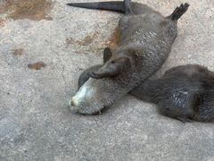 -杭州野生动物世界