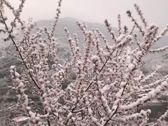 -妙峰山风景名胜区