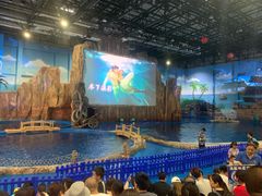 -华夏文旅海洋公园