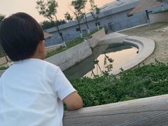 -太原动物园