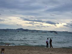 -Green Tree Rest. & Pub