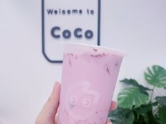 莓莓欧蕾-CoCo都可(北美店)