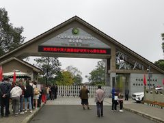 -中国大熊猫保护研究中心雅安碧峰峡基地