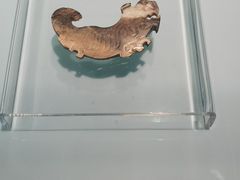 -安阳博物馆