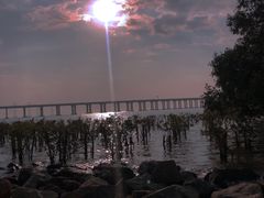 -宝安西湾红树林湿地公园