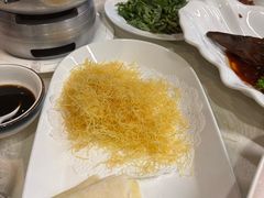 -丁老爷子苏香圆
