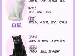 -lincat·猫舍(广州店)